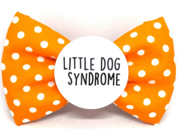 Little dog syndrome Badge Bow®