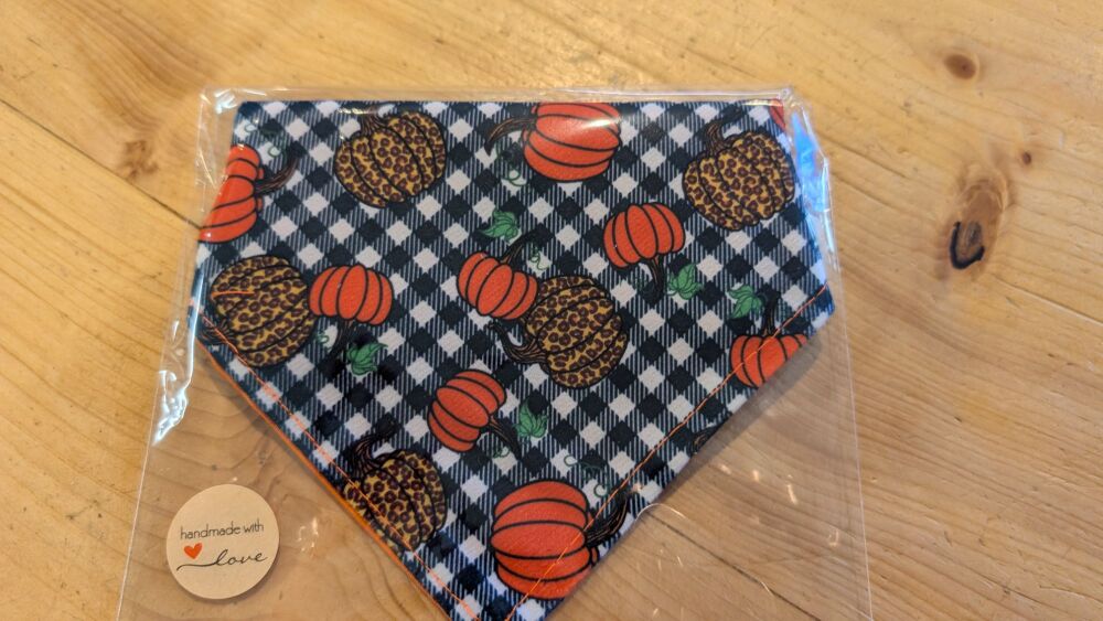 Pumpkin bandana