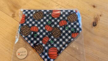 Pumpkin bandana