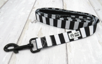 Black and White Dog lead