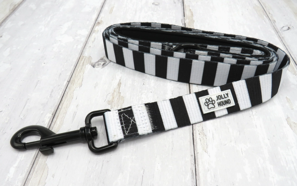Black and White Dog lead
