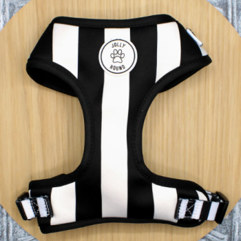 Black and White Harness Large