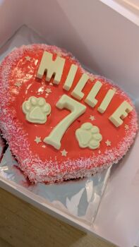 Single layer heart shaped cake