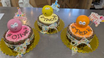 Small ball cake