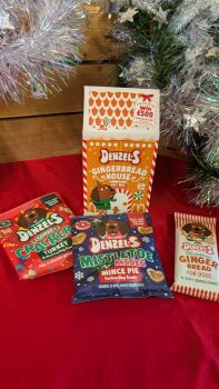 Denzels Gingerbread House