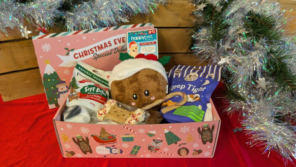 Christmas Eve Box Pink