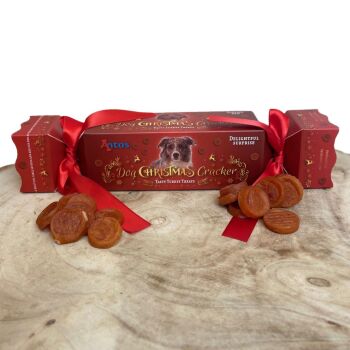 Turkey Coin Christmas Cracker