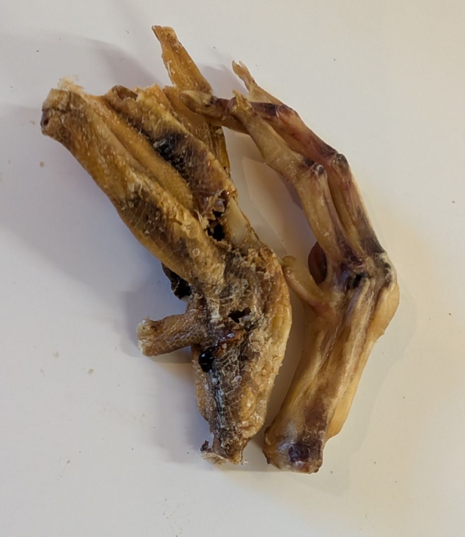Duck feet x 2