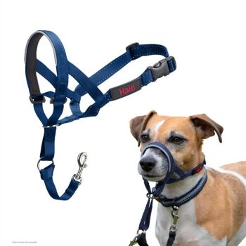 Halti Headcollar Size 1 Cobalt Blue