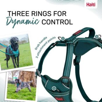 Halti Anatomy Harness Teal Small