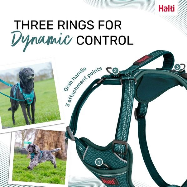 Halti Anatomy Harness Teal Small