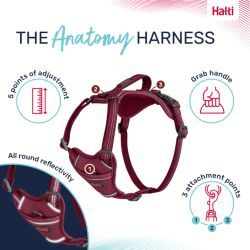 Halti Anatomy Harness Pink Medium