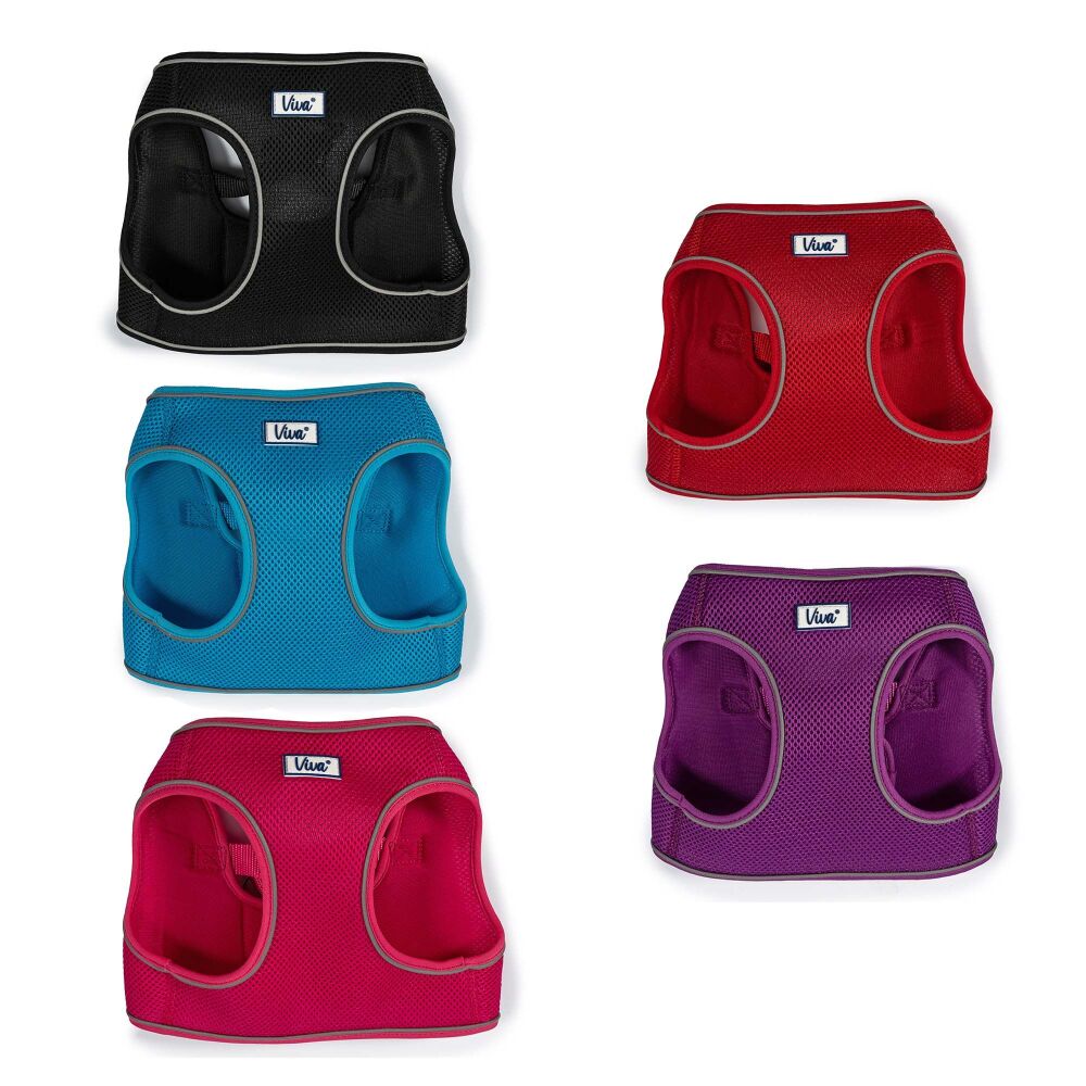 Viva Step=In Harness Red S/M