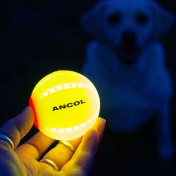 Rechargaeble LED Ball Yellow