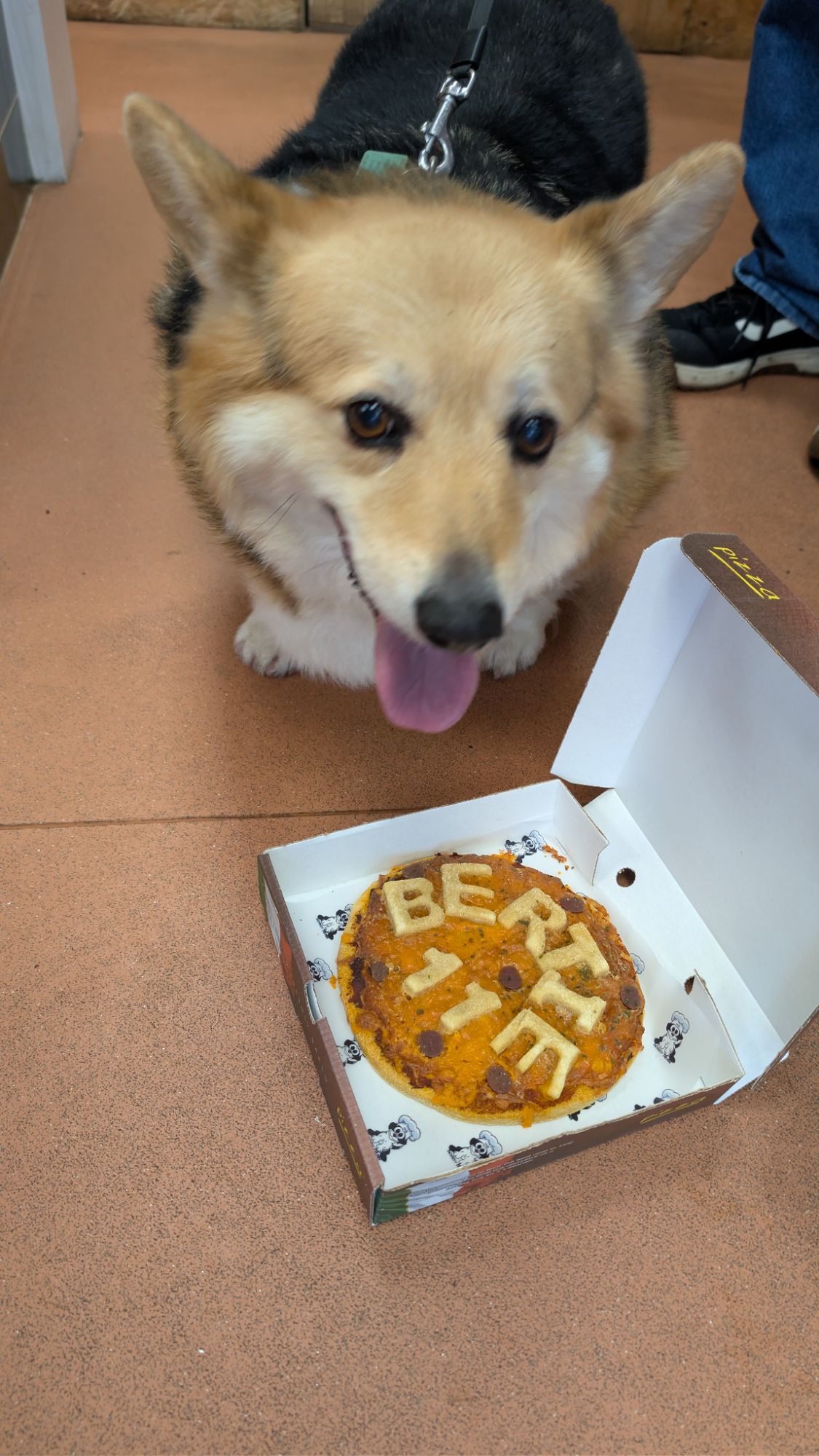 PXL_20260124_112650116