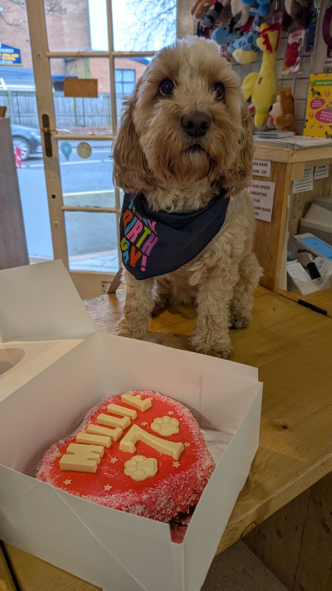 PXL_20250322_124530564.MP