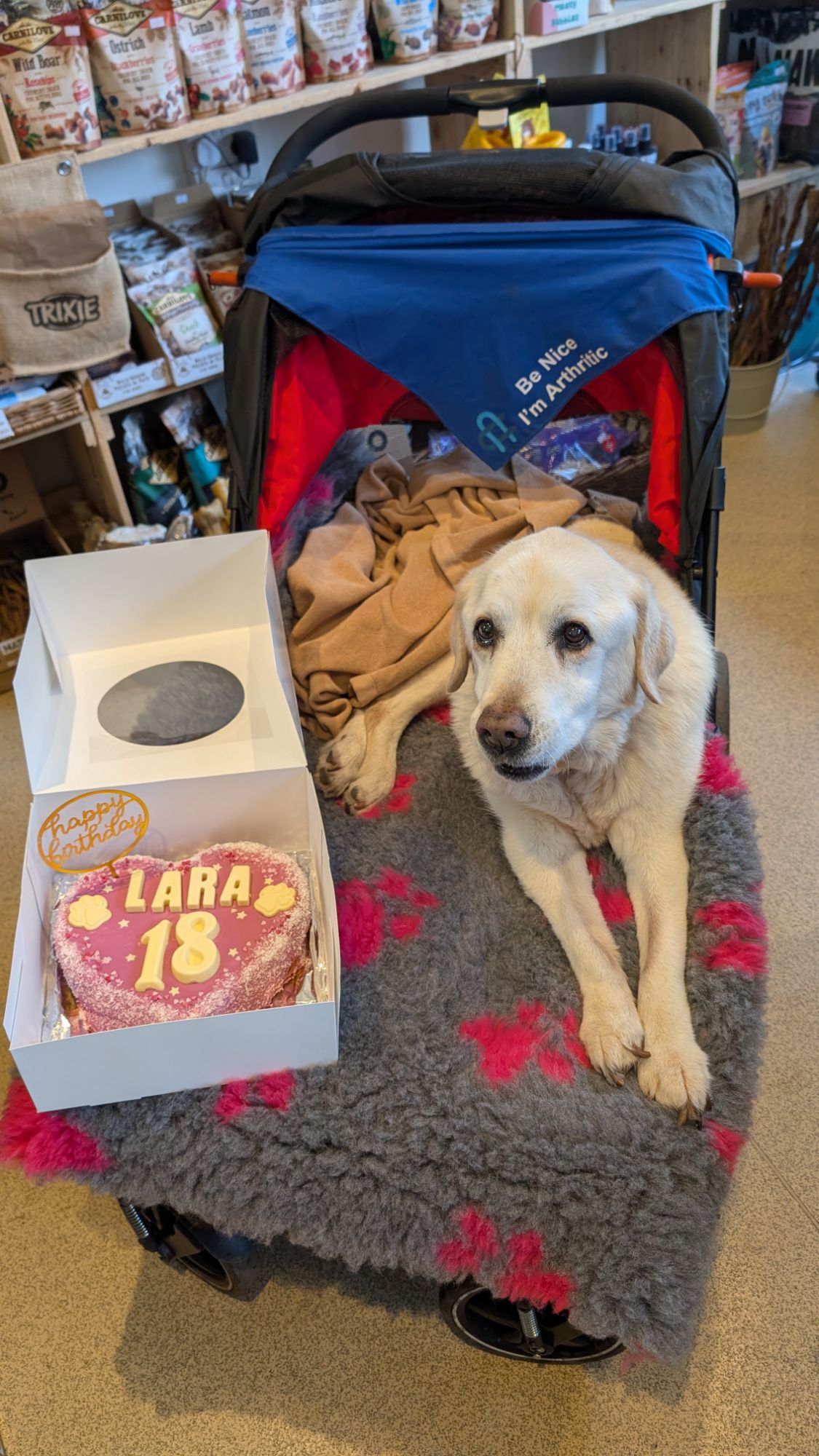 PXL_20250301_133830647