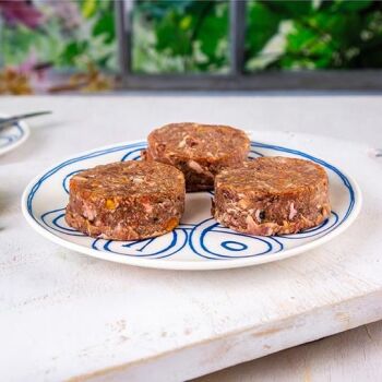 Luna & Me Raw Dog Food Perky Turkey Patties 600g