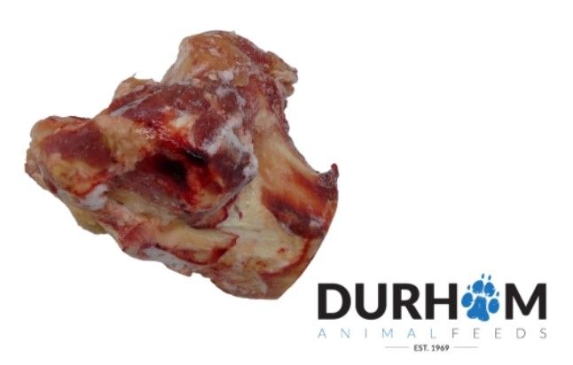 Beef Knuckle Bone x 1