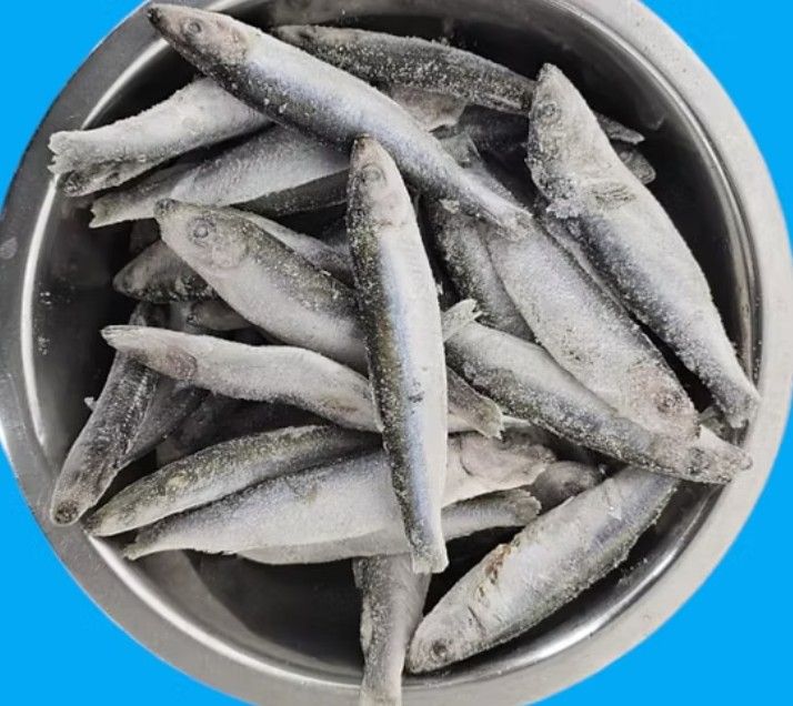 Sprats 1kg