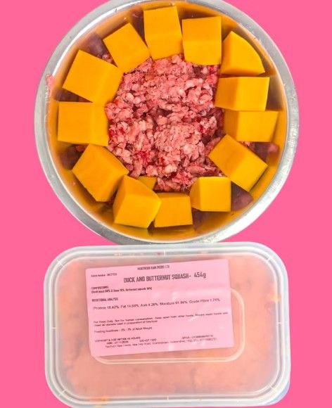 NRF Duck and Butternut Squash 454g