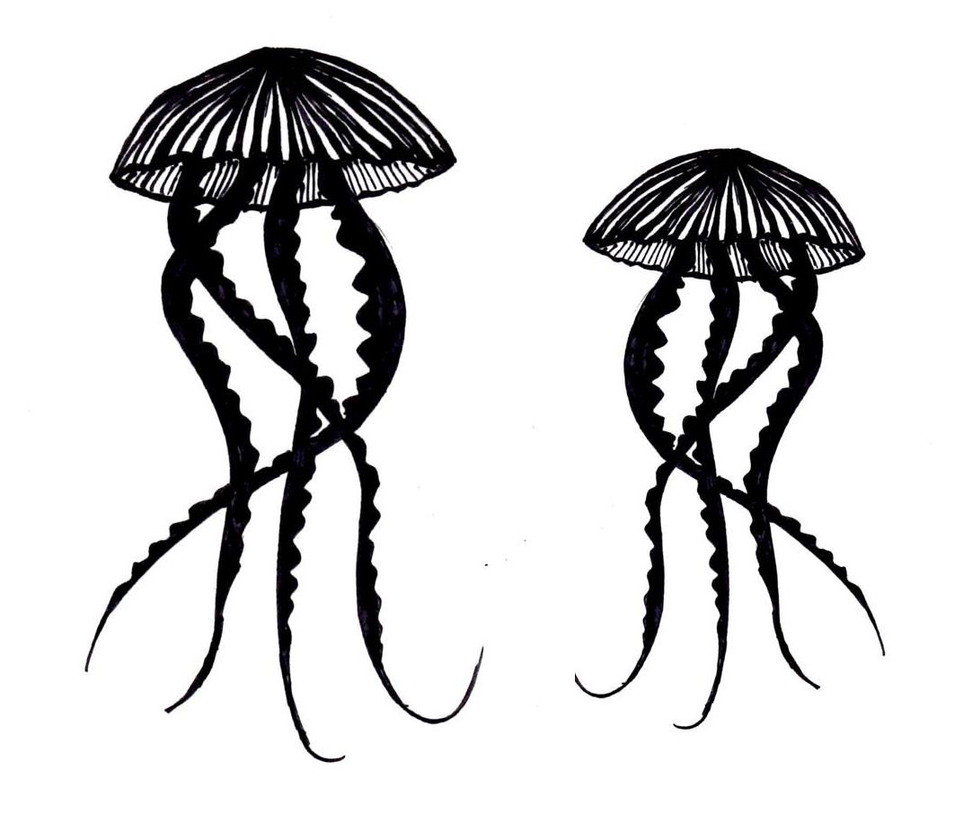 Jellyfish pair 5
