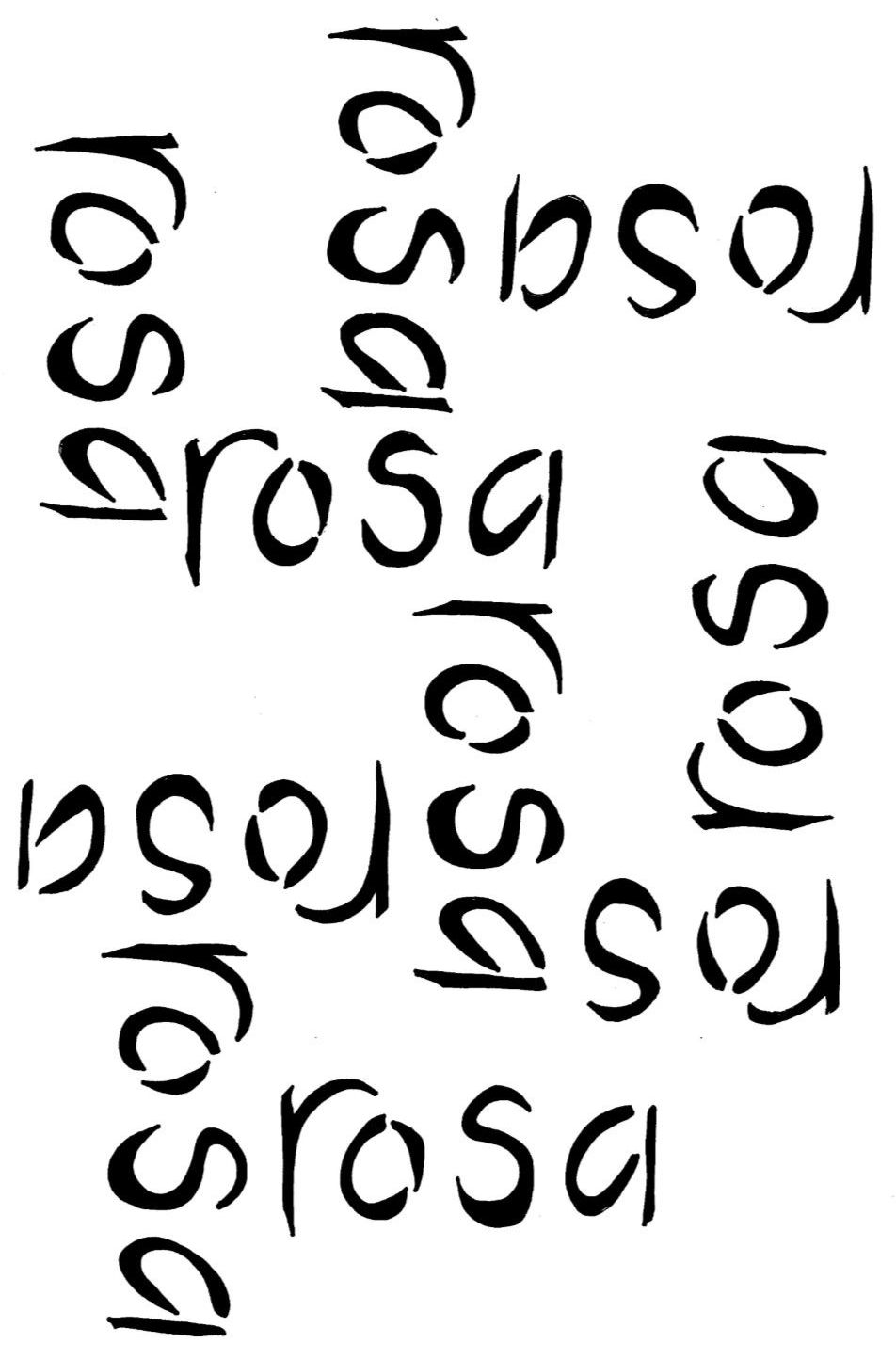 Rosa Script A5