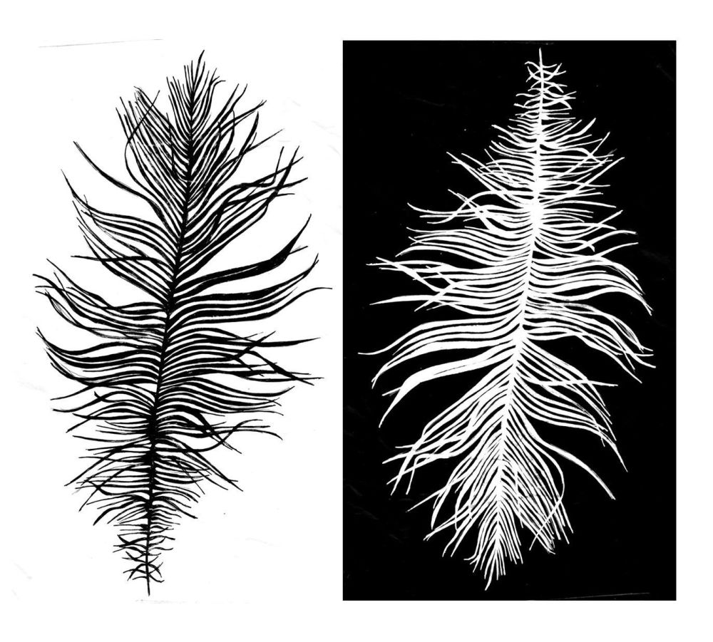 Beach Feather: positive and negative pair - 5