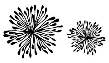 Flower-heads: Pair- 4" and 3"   