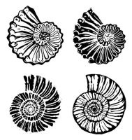 Fossils, set of 4 - 4": 20% off - discount included in price shown