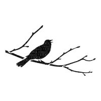 Blackbird Branch A5