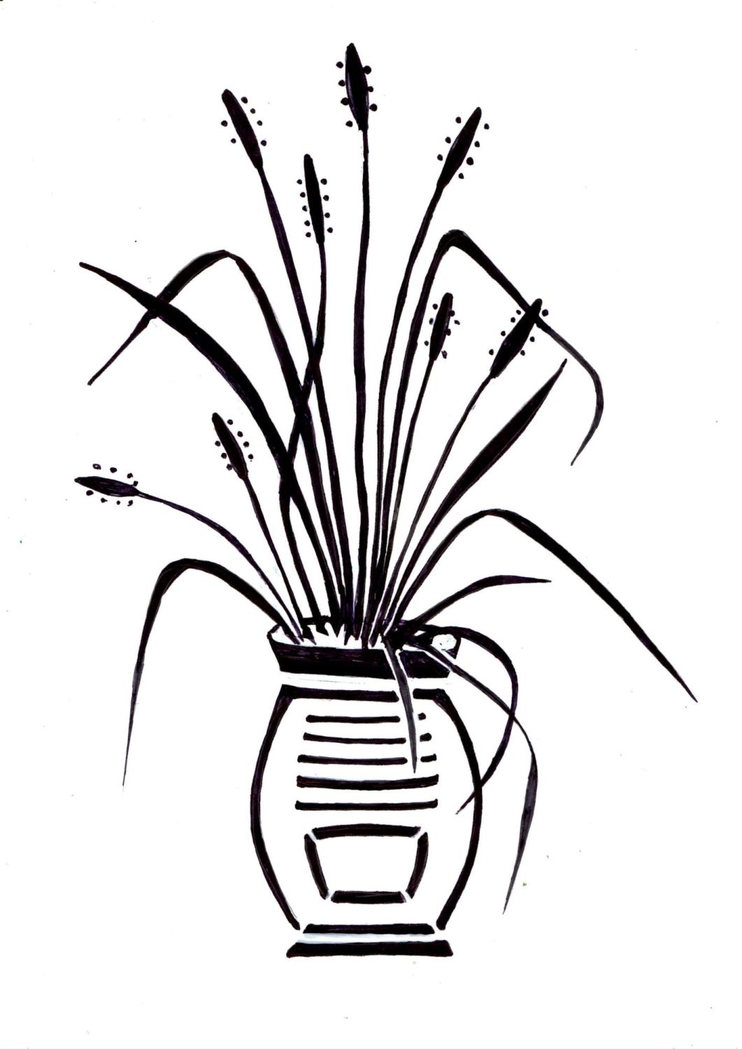 Plantain Pot: 7