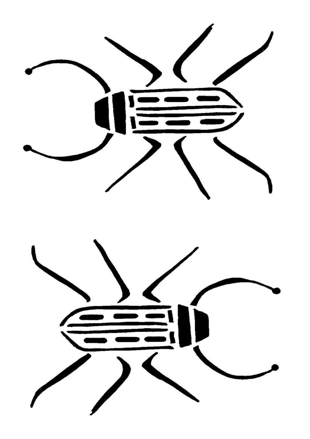 Beetle 1: A5