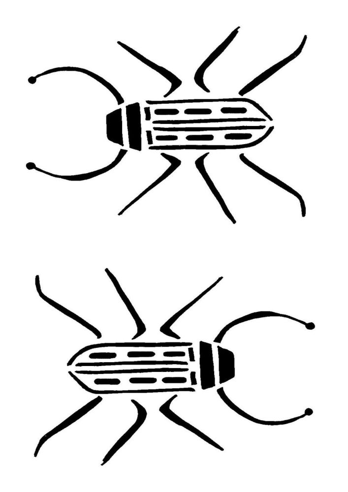 Bugs 1: A5
