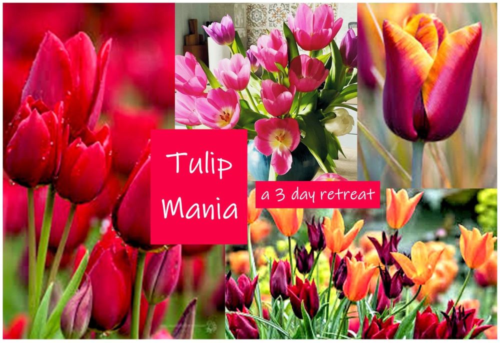 Tulip Mania: A 3 day celebration of Spring: 20th, 21st and 22 April 2023