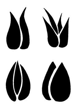 4 Tulip Heads: Set A: A4