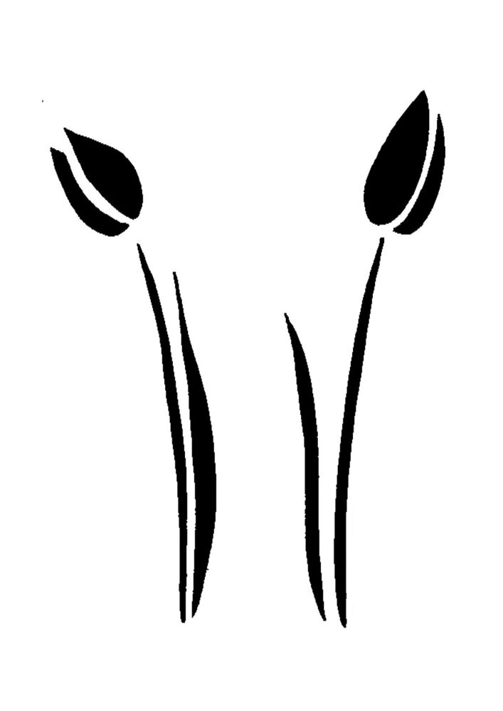 Tulip Pair A6