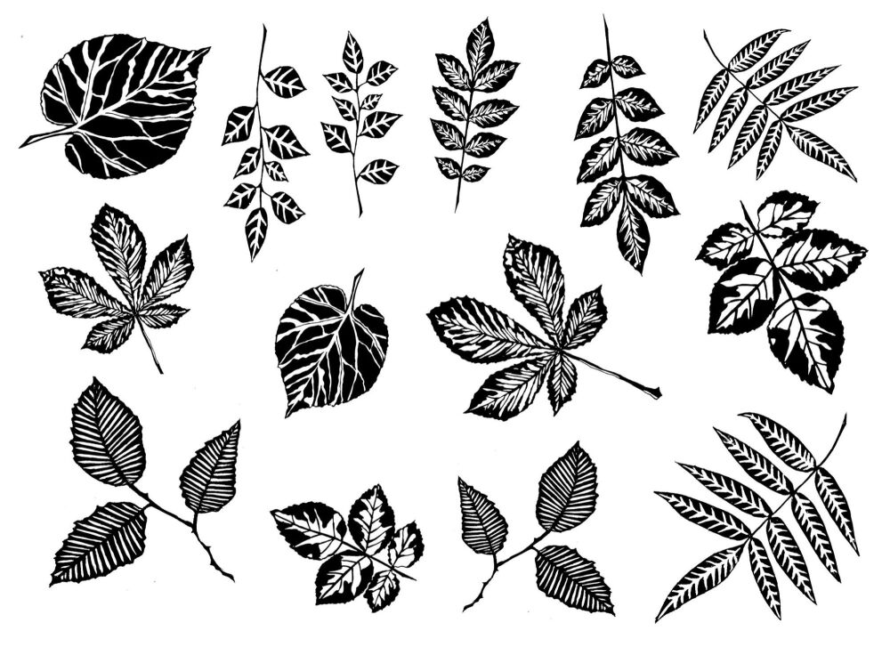 Leaves: full set of 14