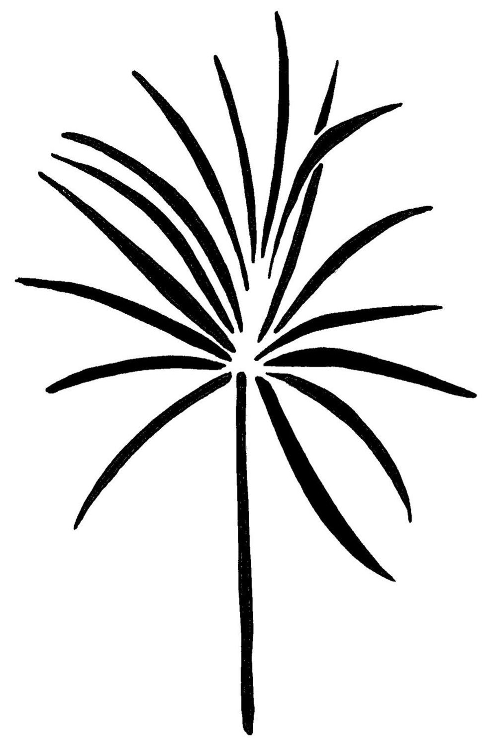 Tropical Palm Tree -  A5