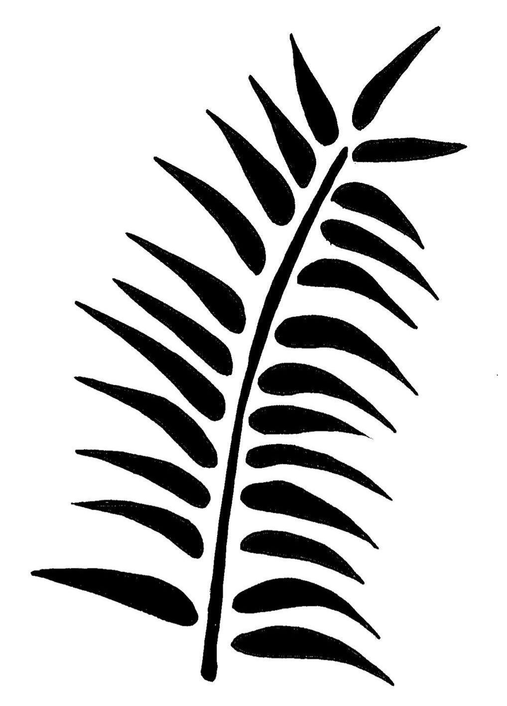 Tropical Fern - A5