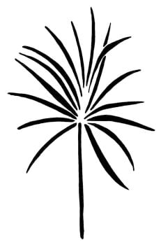 Tropical Palm Tree - A4
