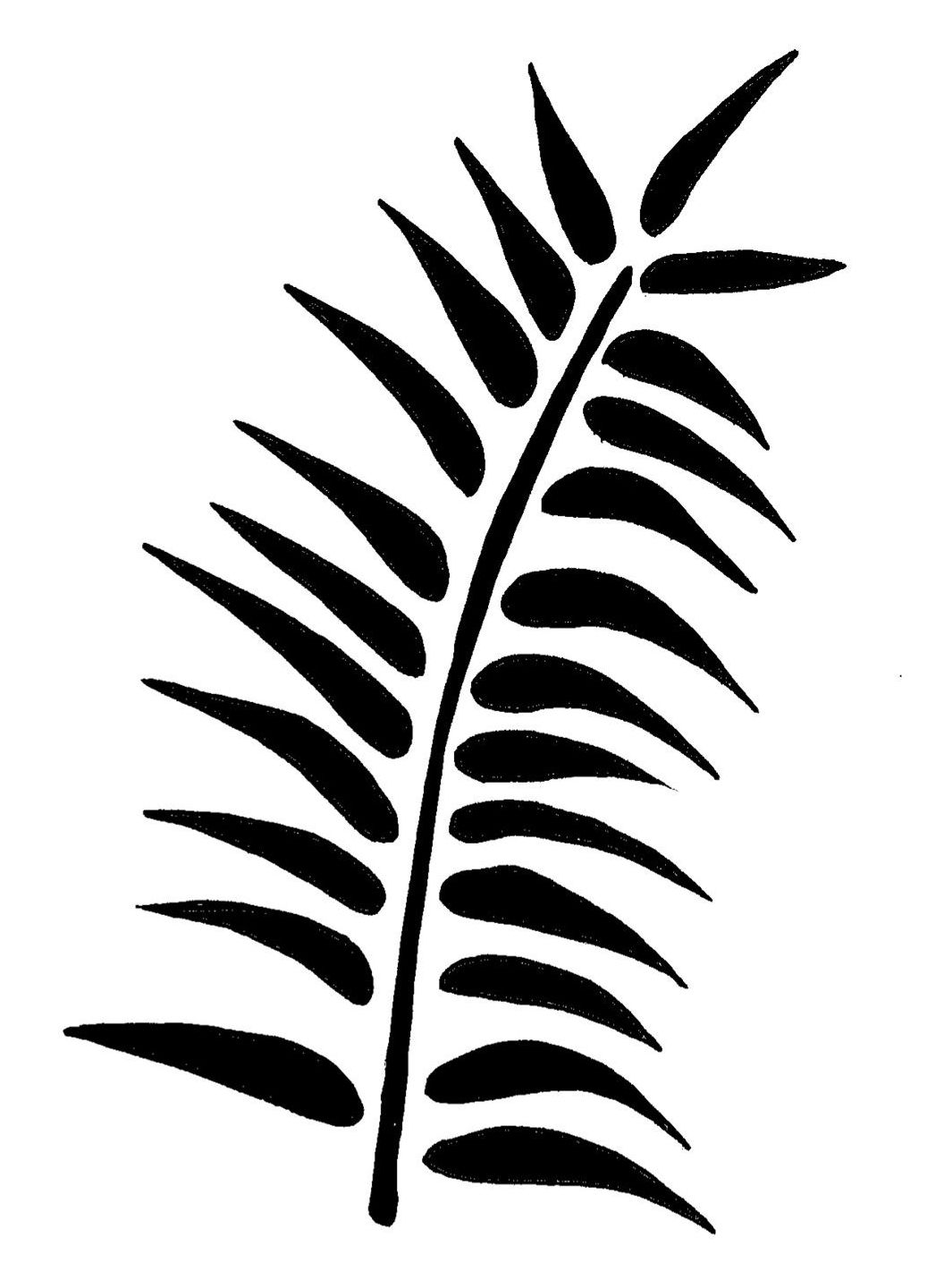 Tropical Fern - A4