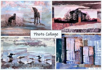 Photo Collage: From 1 November 2025