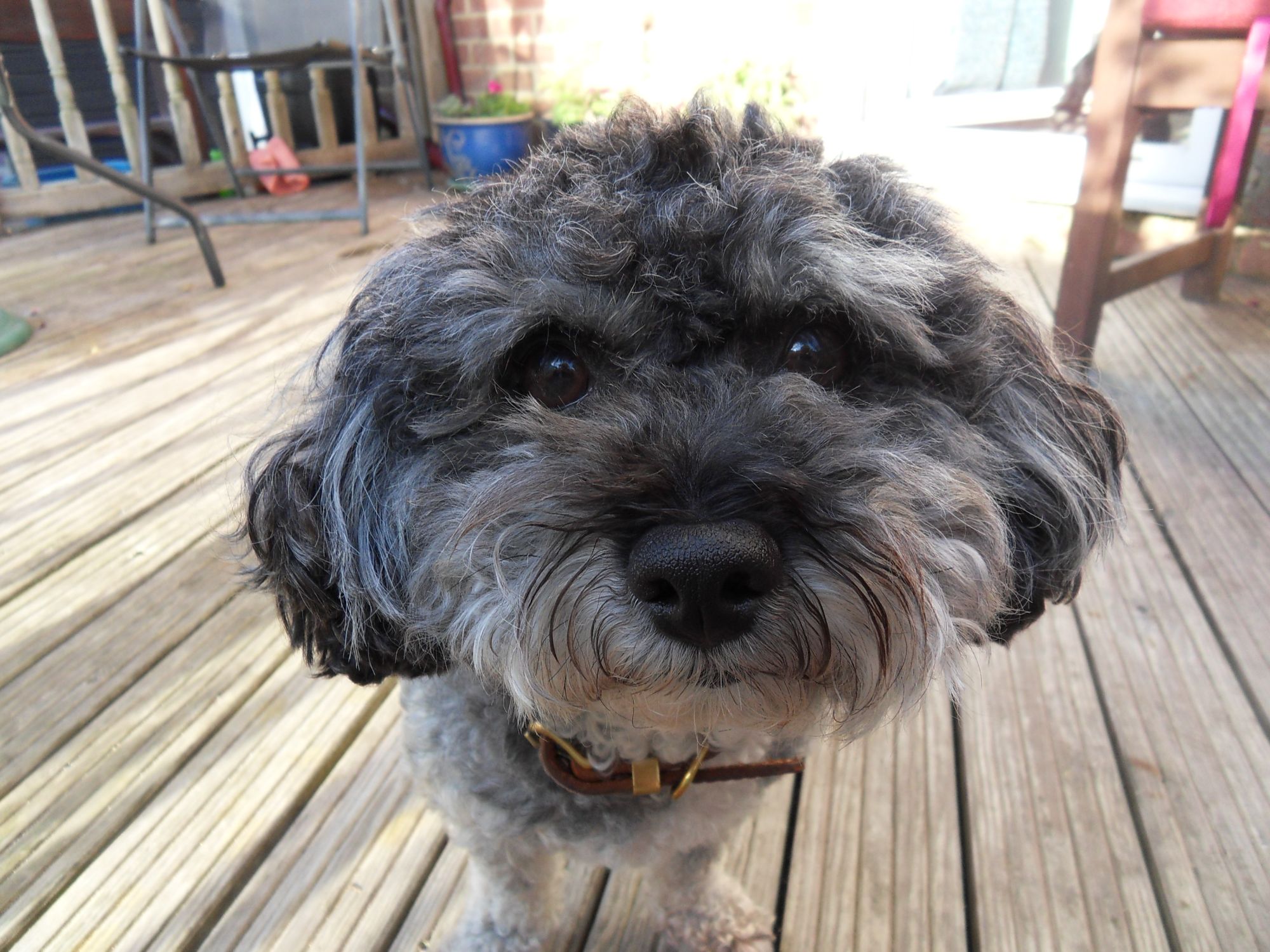 Sophie