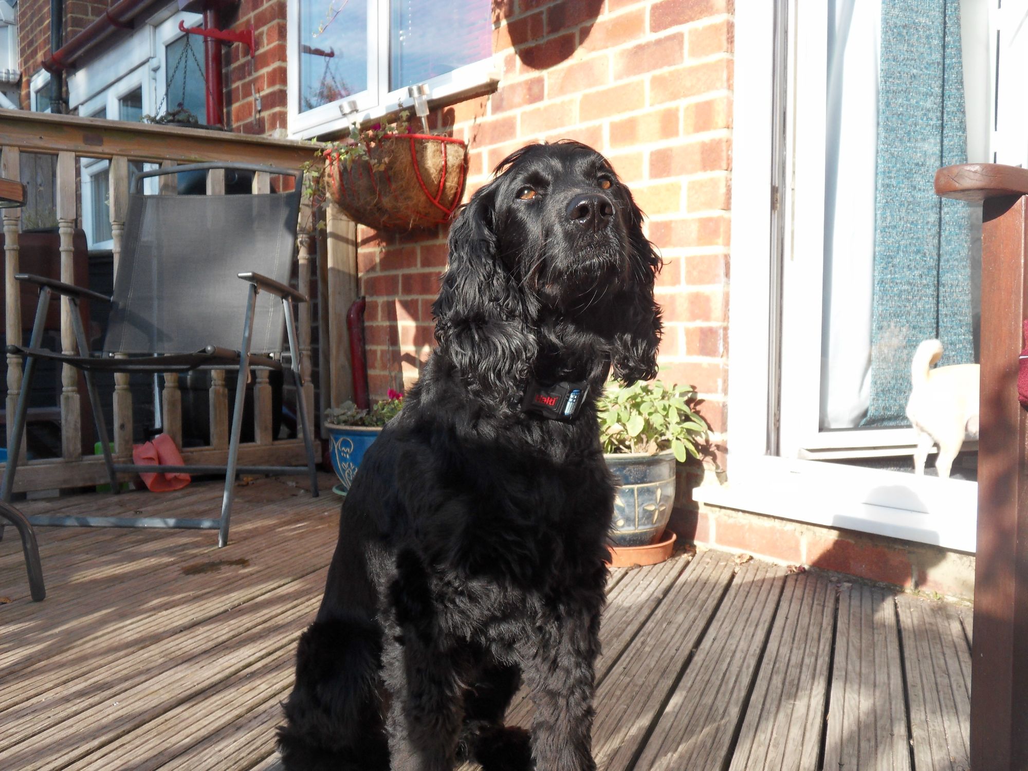 Digby