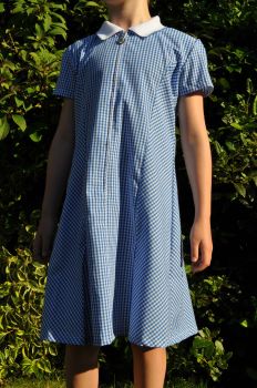 Zip front blue gingham dress with scrunchie