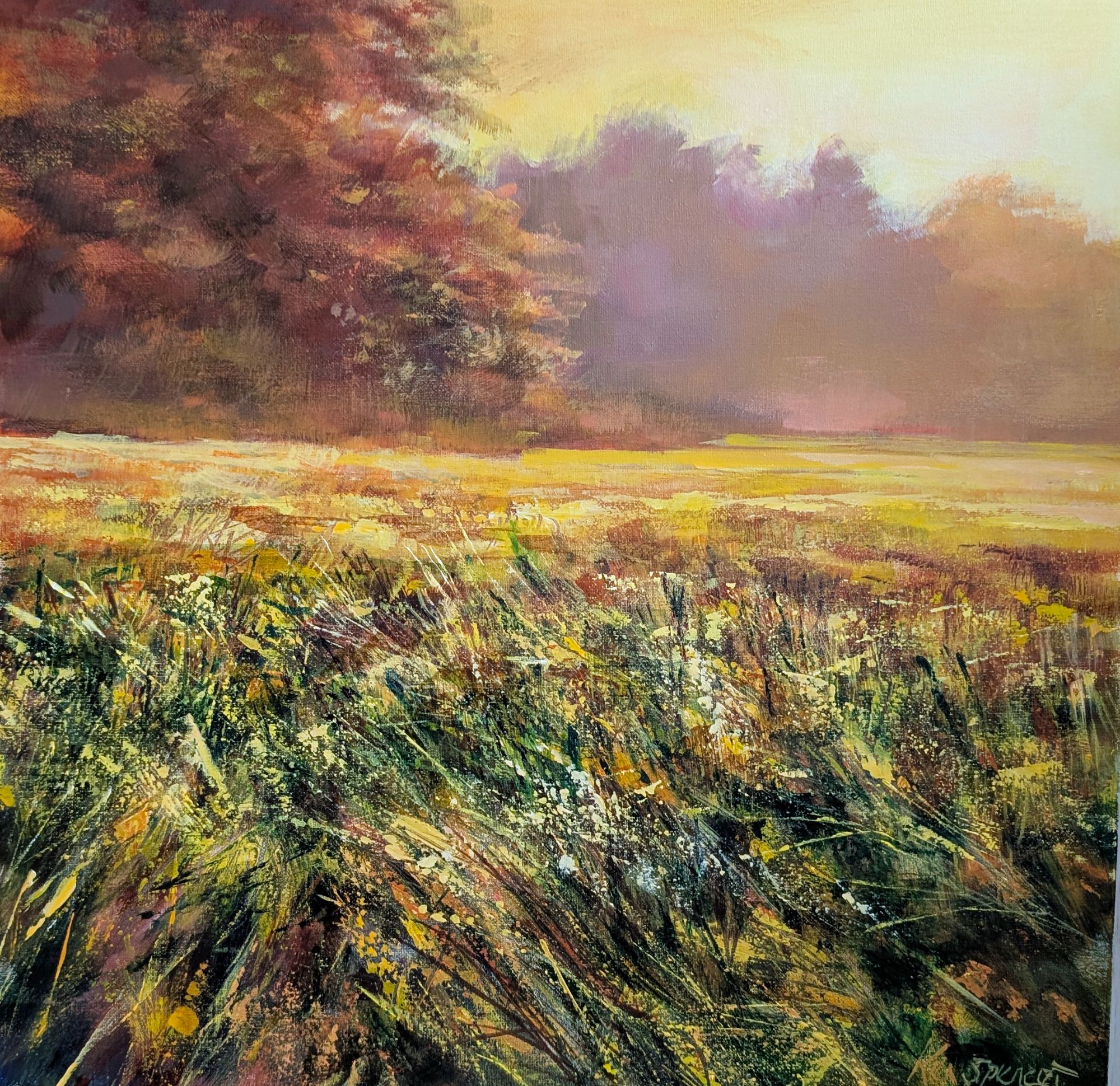Wallington crop field