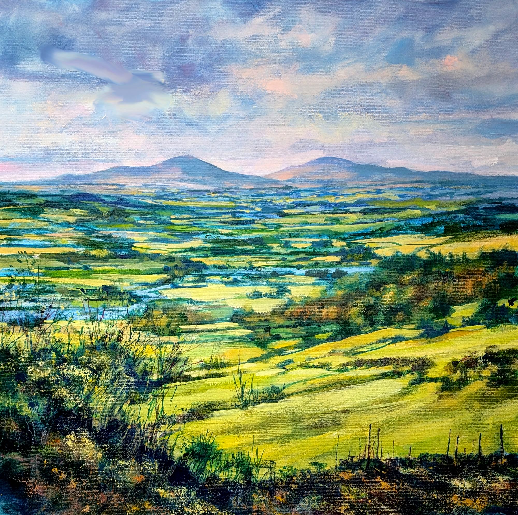 Cheviots from Chatton
