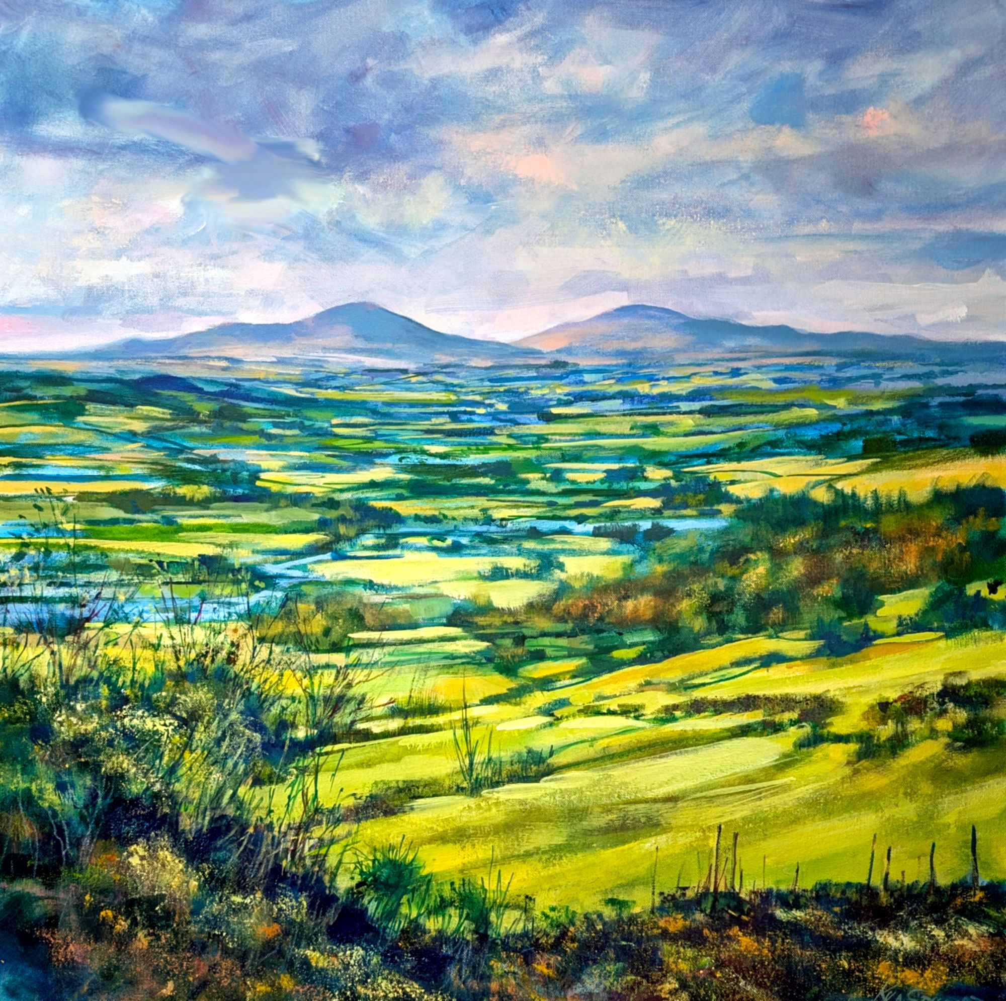 Cheviots from Chatton hill