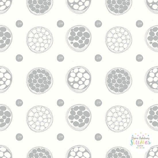 GREY and WHITE SEEDHEADS - PINK POP -CGOCT18 - PP